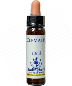 Clematis 10ml Healing herbs