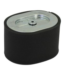 Filtro aria Motori ad albero orizzontale 25T200 BRIGGS & STRATTON