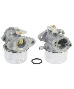 Carburatore con primer Quantum  BRIGGS & STRATTON – 496114
