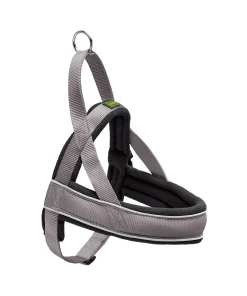 PETTORINA NORWEGIAN RACING S GRIGIO