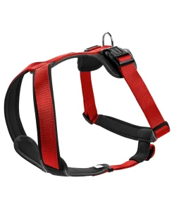 PETTORINA NEOPREN S 45-57CM/15MM ROSSO