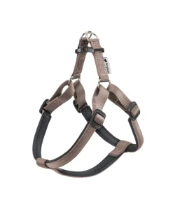 PETTORINA DAYTONA P LARGE MARRONE