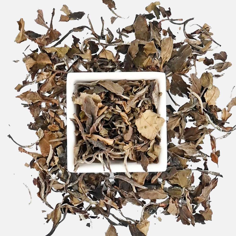 Tè bianco Pai MuTan 1kg Carpano