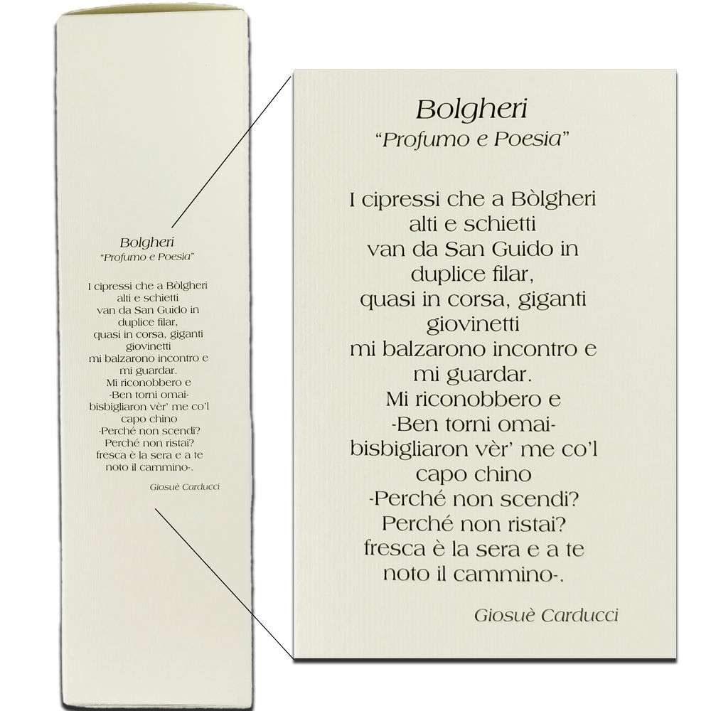 Diffusore Ambiente Kenaf e Assenzio 100ml Bolgherello - immagine 3