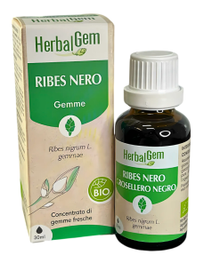 Ribes Nero gemme Bio Herbalgem 30ml