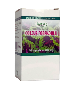 Coleus Forskohlii 60 capsule Larix