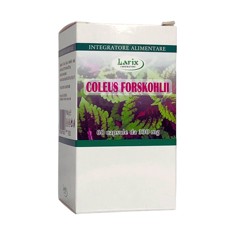 Coleus Forskohlii 60 capsule Larix