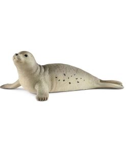 Foca